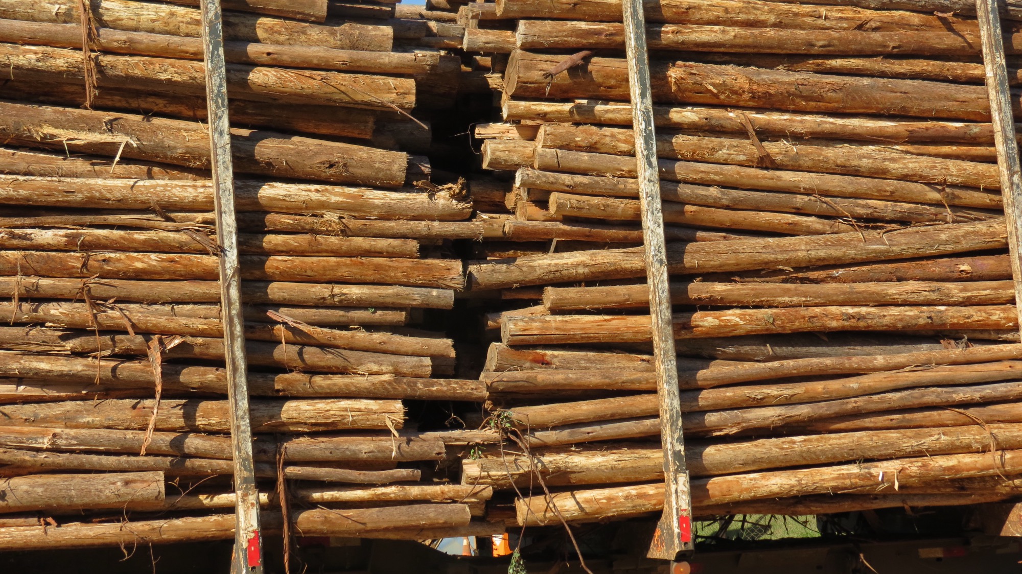 Logs of timber